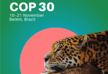 COP 30, esperamos una hoja de ruta clara y creíble