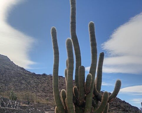 El cambio climático está redefiniendo el futuro de la infancia