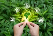 Científicos advierten sobre los combustibles fósiles