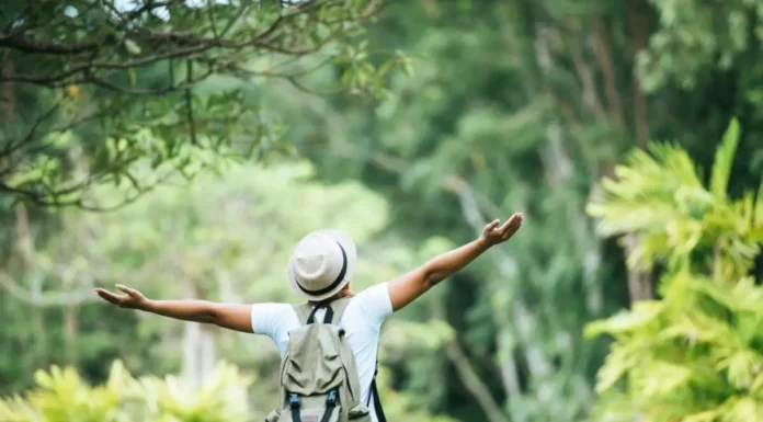 Salud ambiental y turismo