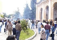 jpg_d3.jpg