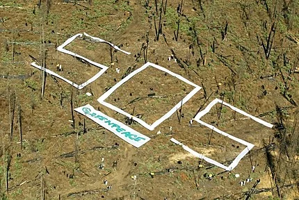 jpg_deforestacion2.jpg